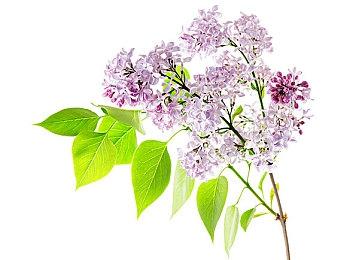 《Synthetic Selection》A测启动 物理模拟动作解谜